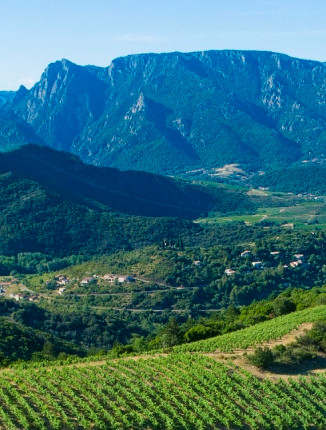 d-couvrir-le-parc-parc-naturel-r-gional-du-haut-languedoc